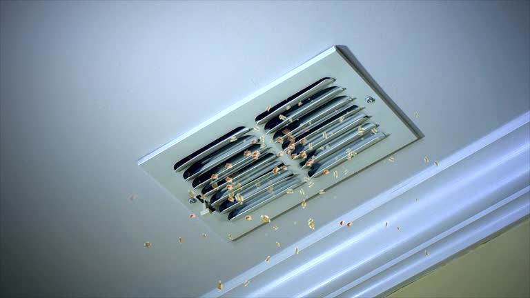 Best Affordable Duct Cleaning Services  in Bronx, NY