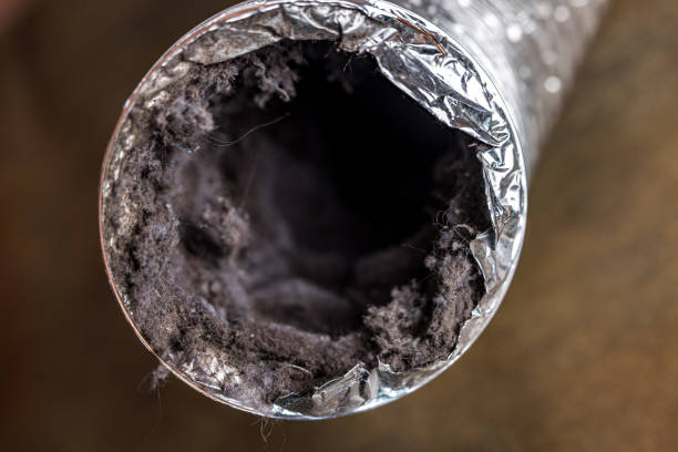 Best Ductwork Cleaning Services  in Bronx, NY