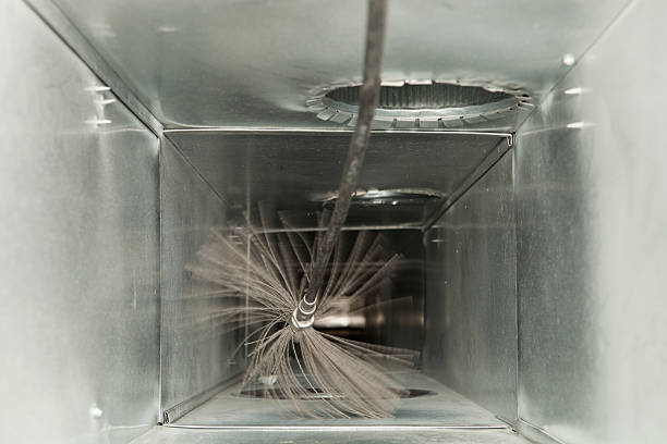 Best Air Duct Mold Removal  in Bronx, NY